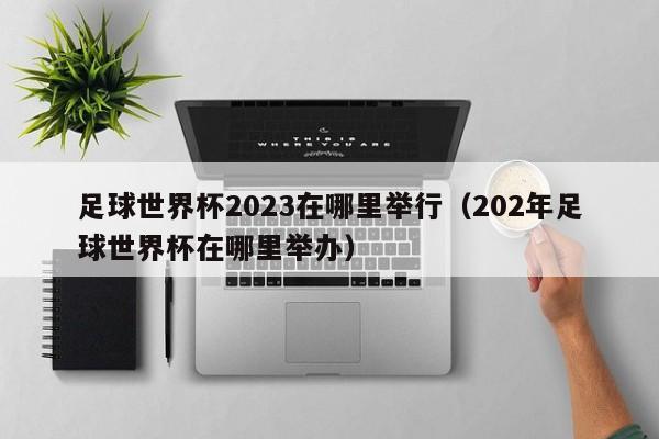 足球世界杯2023在哪里举行（202年足球世界杯在哪里举办）