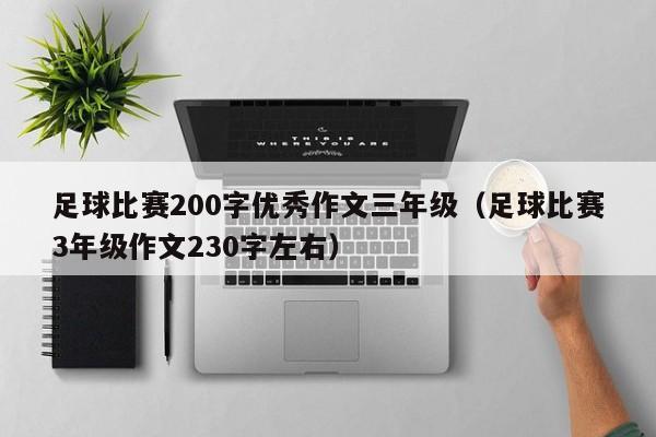 足球比赛200字优秀作文三年级（足球比赛3年级作文230字左右）