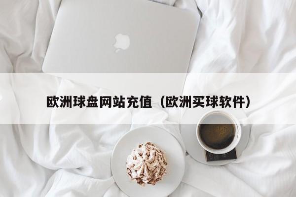 欧洲球盘网站充值（欧洲买球软件）