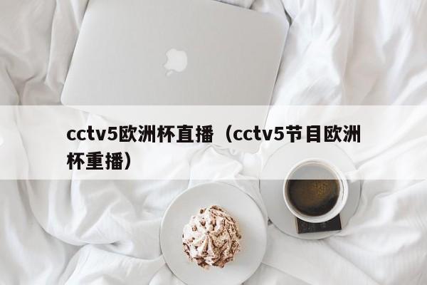 cctv5欧洲杯直播（cctv5节目欧洲杯重播）