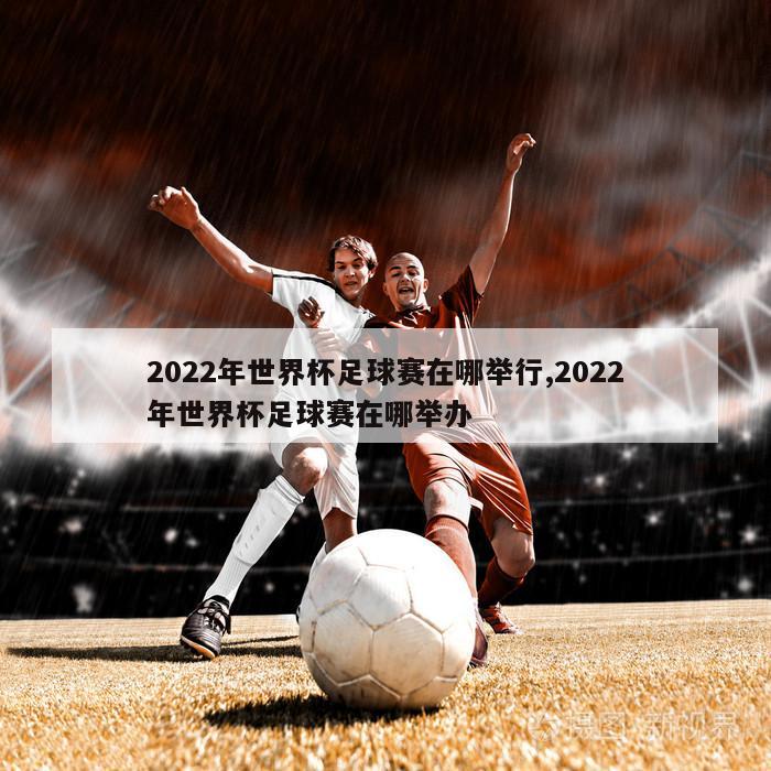 2022年世界杯足球赛在哪举行,2022年世界杯足球赛在哪举办